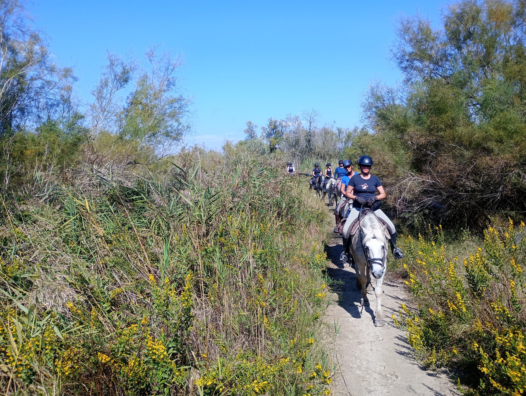Image Voyage à cheval des collines du Luberon et des Alpilles à la Camargue