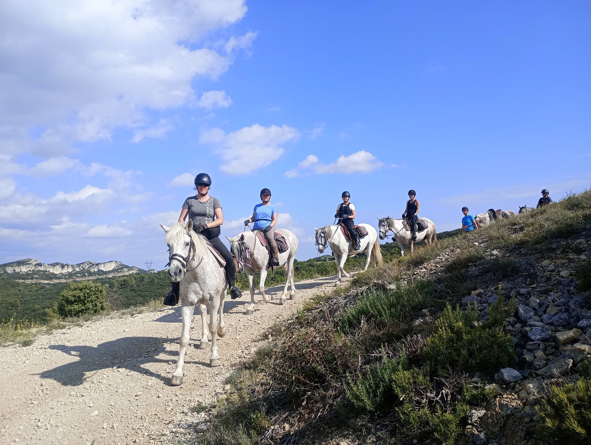Image Voyage à cheval des collines du Luberon et des Alpilles à la Camargue
