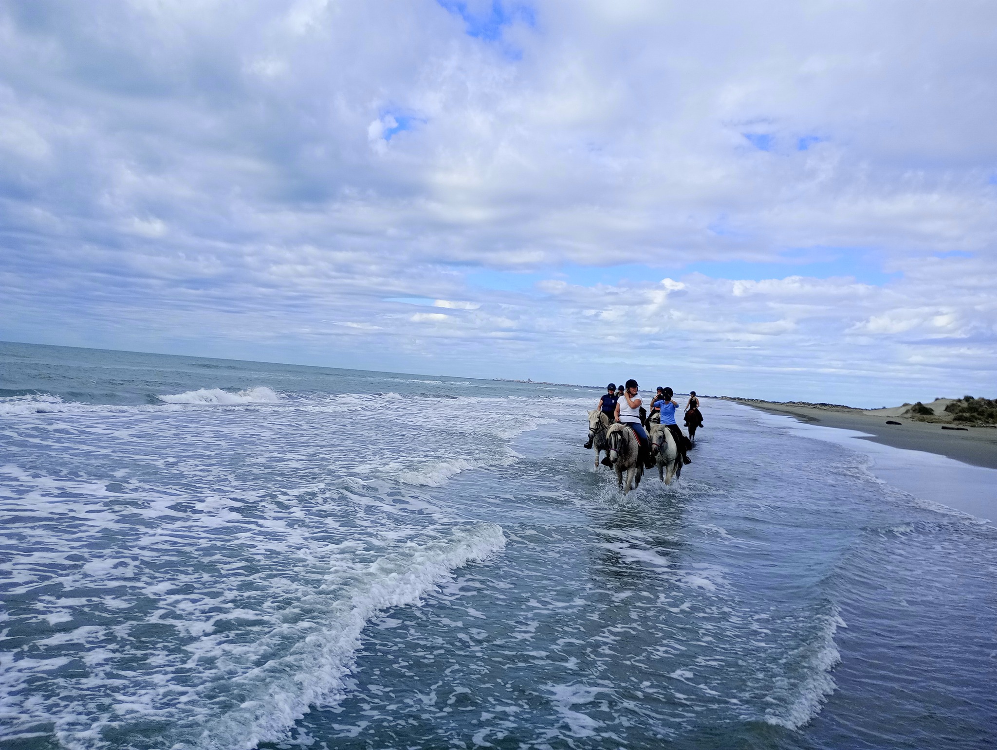 Image Voyage à cheval des collines du Luberon et des Alpilles à la Camargue