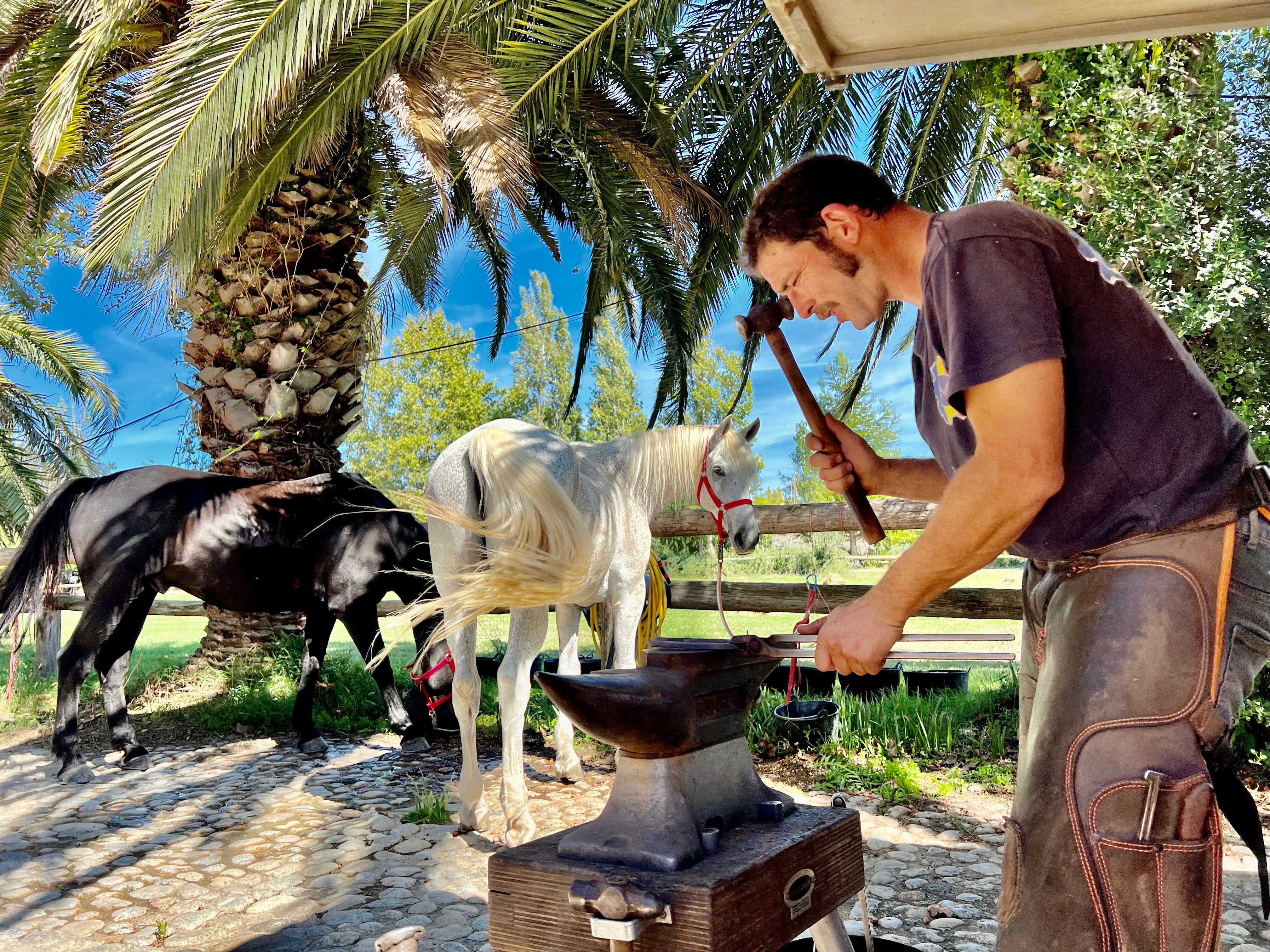 Image Espagne: A cheval jusqu'au Cap de Creus