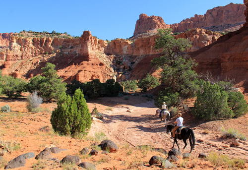Image Usa : Rando à cheval à Pleasant Creek en Utah