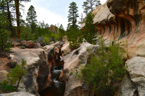 Image Usa : Rando à cheval à Pleasant Creek en Utah