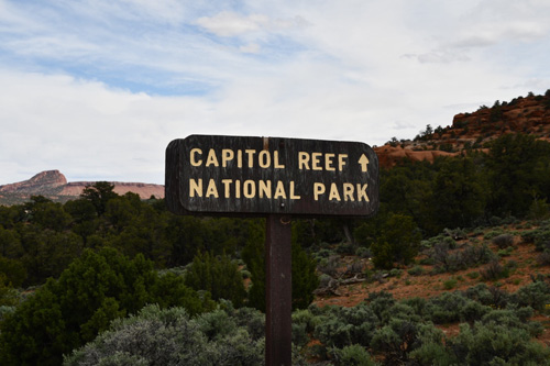 Image Usa : Rando à cheval à Pleasant Creek en Utah