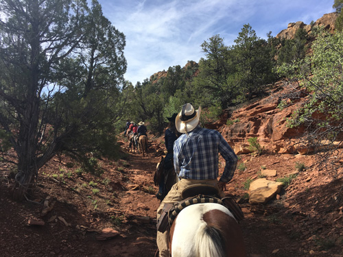 Image Usa : Rando à cheval à Pleasant Creek en Utah