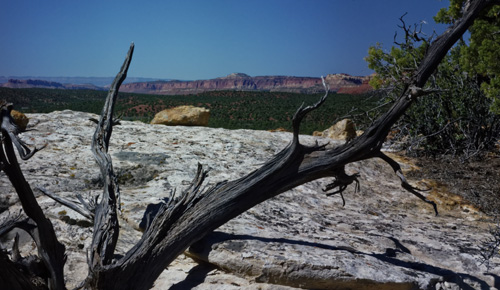 Image Usa : Rando à cheval à Pleasant Creek en Utah