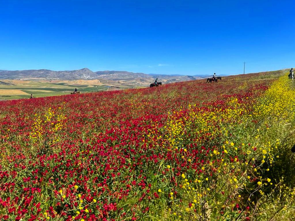 Image Sicile : La Sicile secrète à cheval