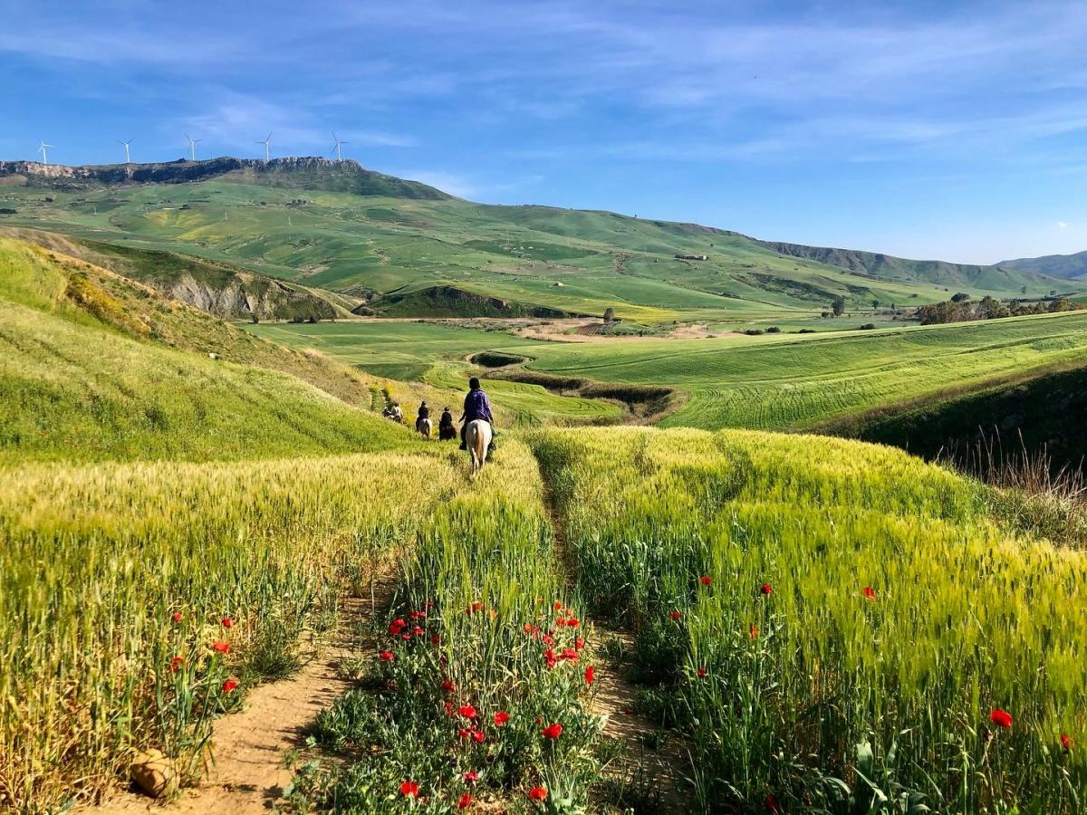 Image Sicile : La Sicile secrète à cheval