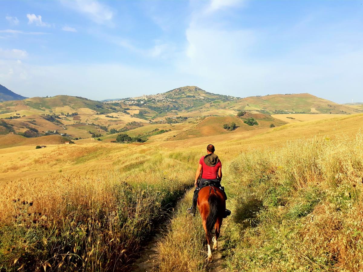 Image Sicile : La Sicile secrète à cheval