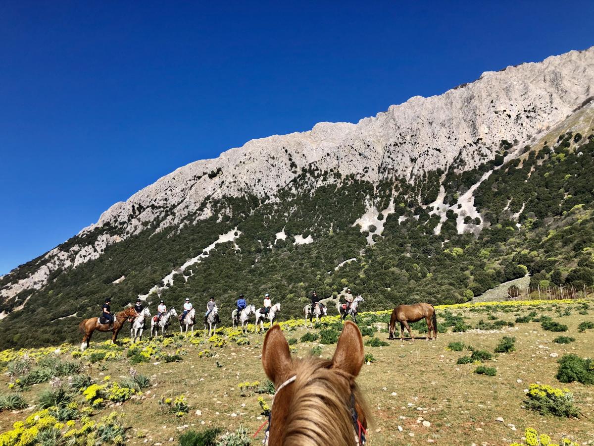 Image Sicile : La Sicile secrète à cheval