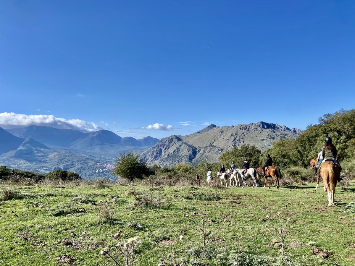 Image Sicile : La Sicile secrète à cheval