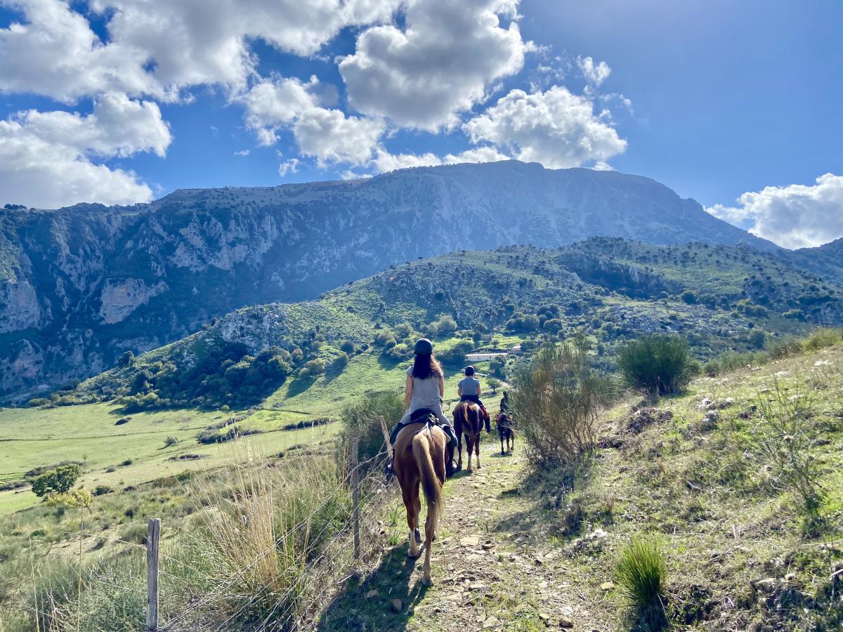 Image Sicile : La Sicile secrète à cheval