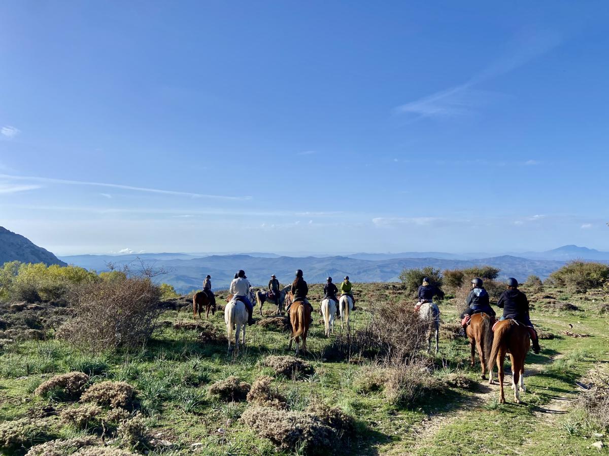 Image Sicile : La Sicile secrète à cheval