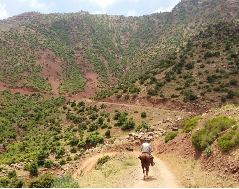 Image Le Djebel Toubktal