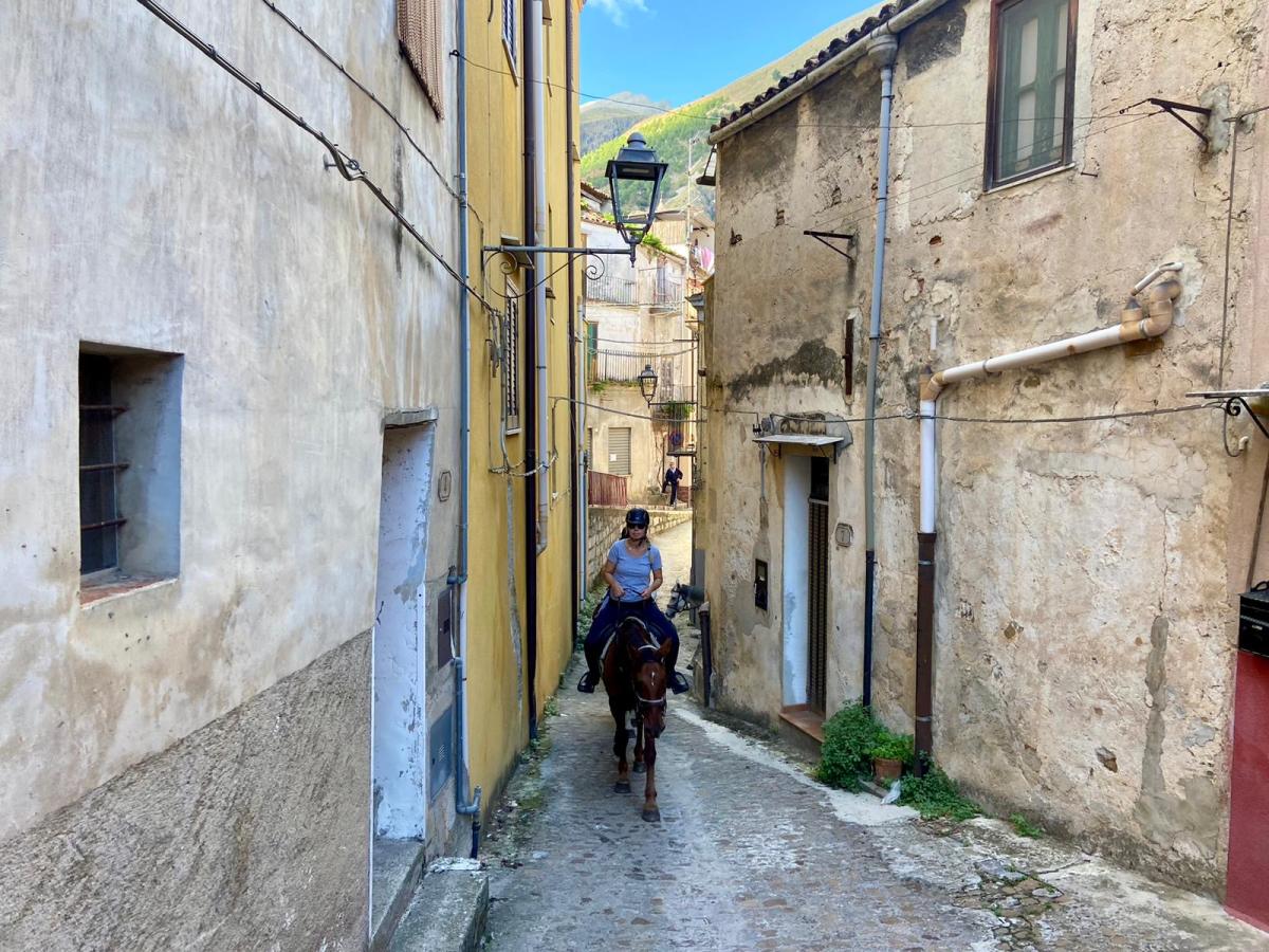 Image Sicile : La Sicile secrète à cheval