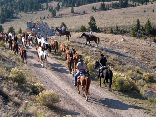 Image Usa : Convoyage d'un troupeau de chevaux en Idaho