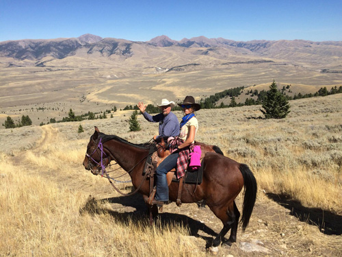 Image Usa : Convoyage d'un troupeau de chevaux en Idaho