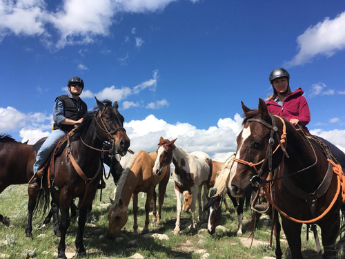 Image Usa : Convoyage d'un troupeau de chevaux en Idaho