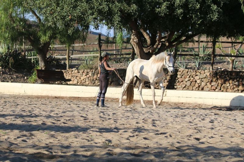 Image Andalousie : Ethologie & rando à cheval dans le parc de Cabo de Gata