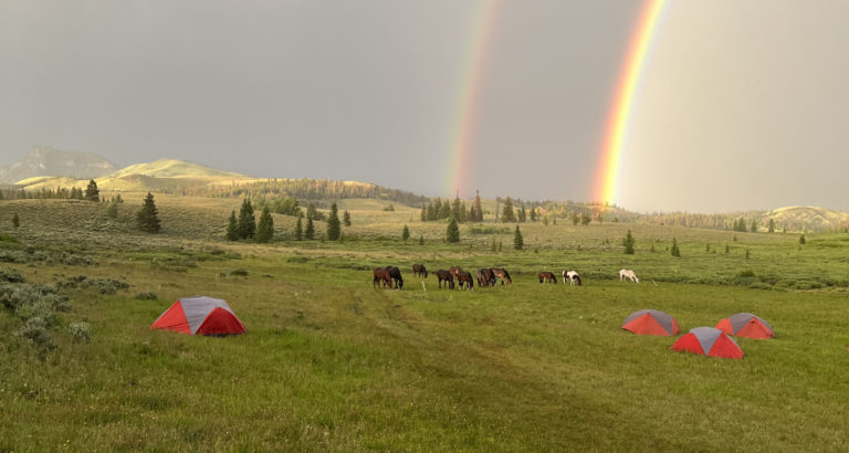 Image Usa : Rando à cheval en bivouac dans le Wyoming