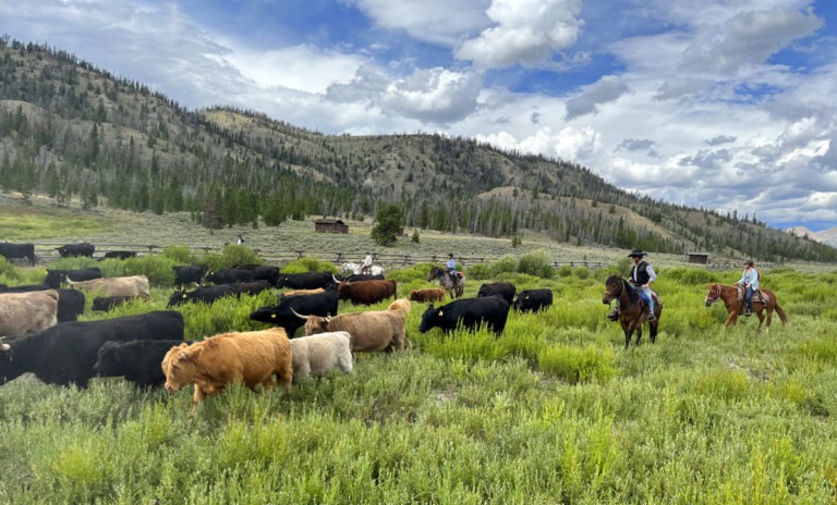 Image Usa : Rando à cheval en bivouac dans le Wyoming