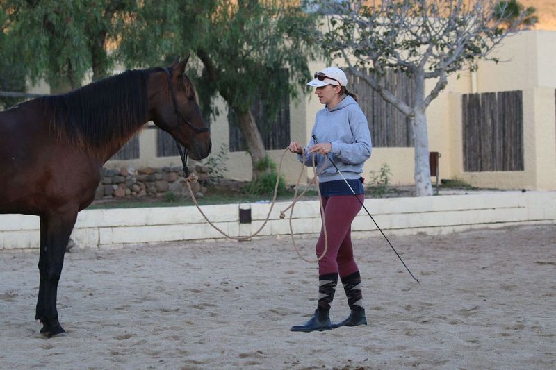 Image Andalousie : Ethologie & rando à cheval dans le parc de Cabo de Gata