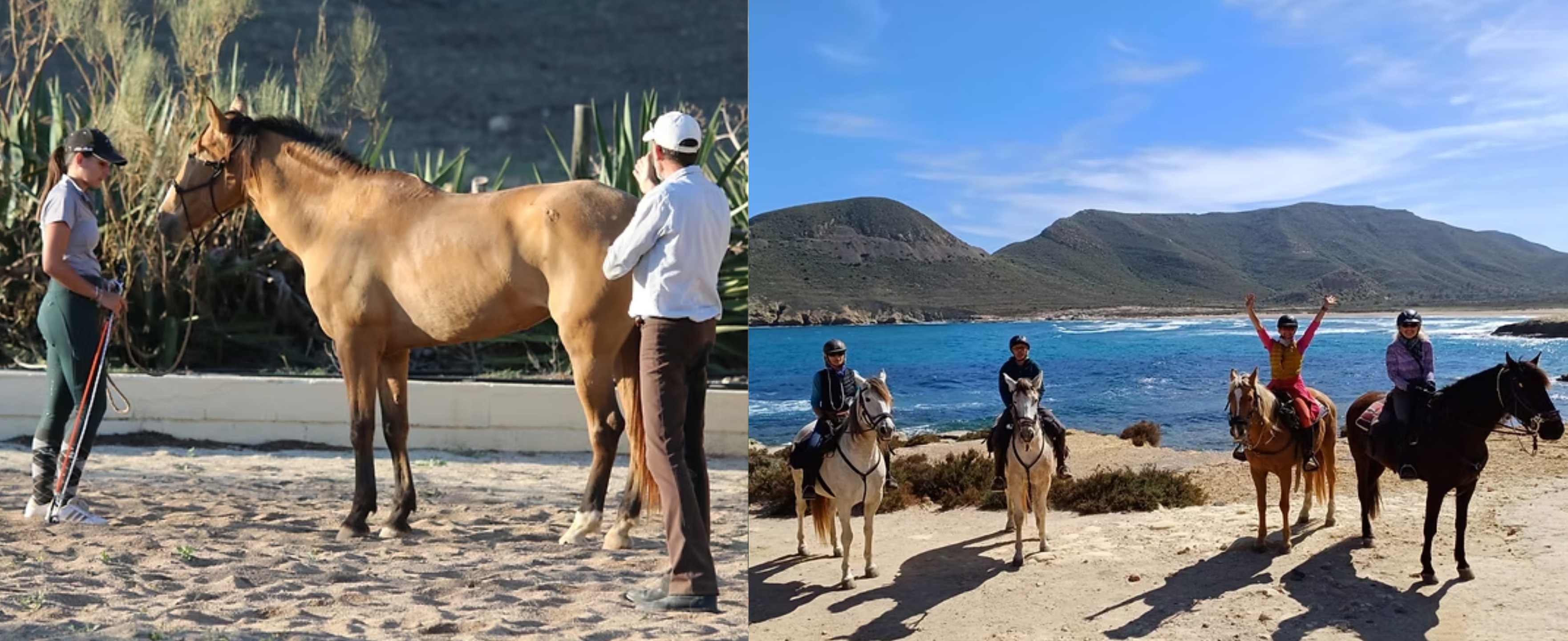 Image Andalousie : Ethologie & rando à cheval dans le parc de Cabo de Gata