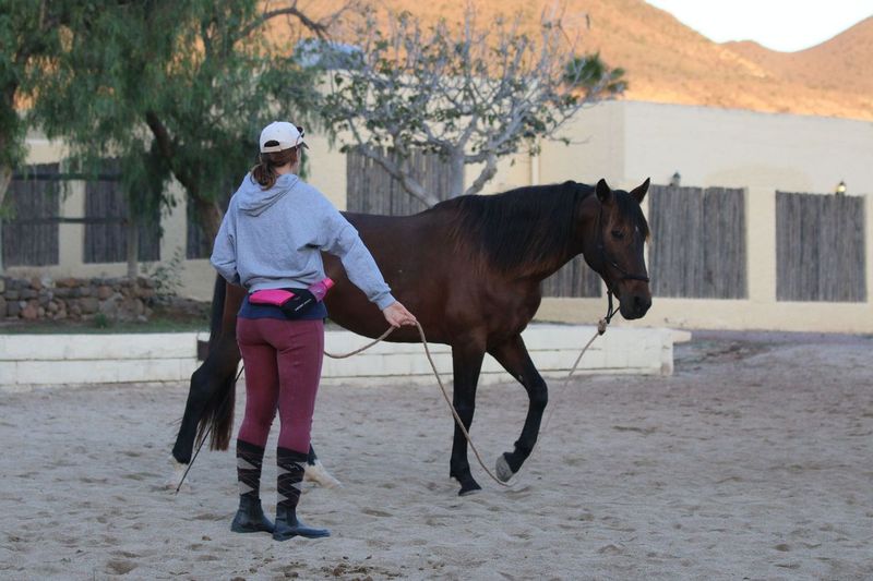 Image Andalousie : Ethologie & rando à cheval dans le parc de Cabo de Gata