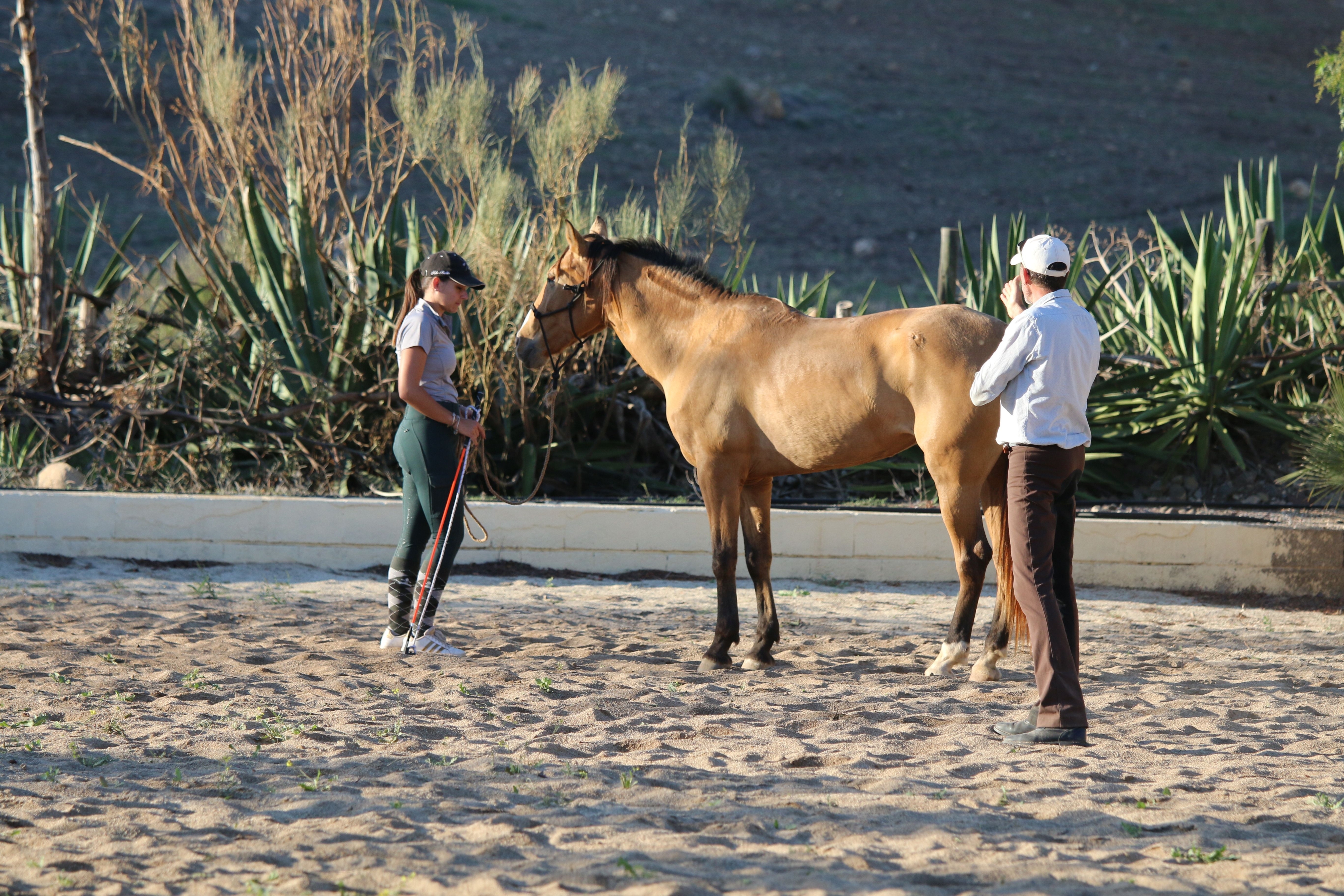 Image Andalousie : Ethologie & rando à cheval dans le parc de Cabo de Gata