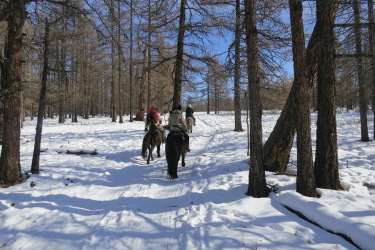Image Randonnée hivernale à cheval en Mongolie