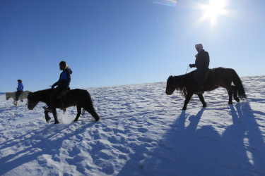Image Randonnée hivernale à cheval en Mongolie