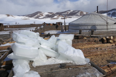 Image Randonnée hivernale à cheval en Mongolie