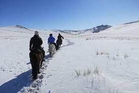 Image Randonnée hivernale à cheval en Mongolie