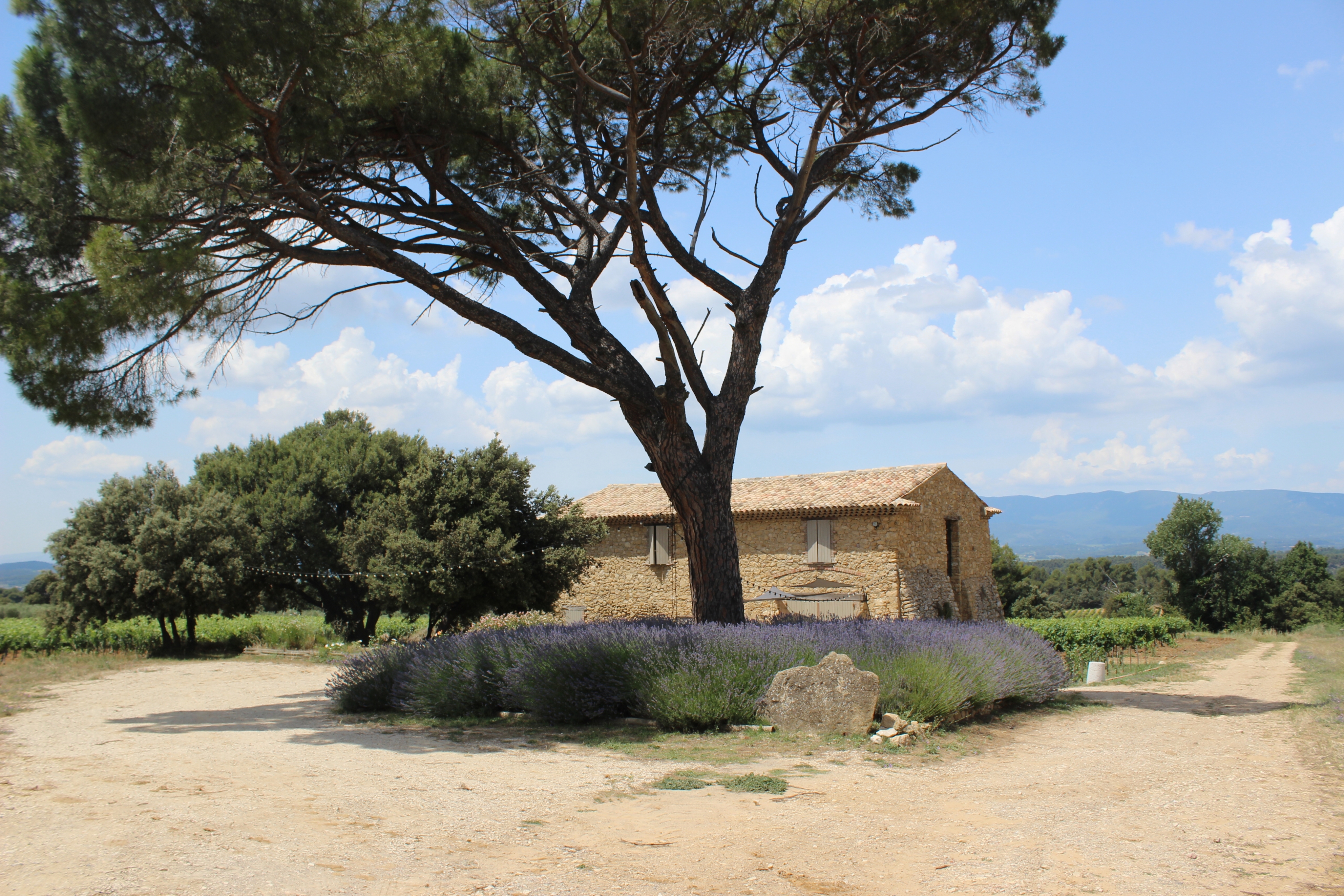 Image Cheval & Nature, découverte du Luberon et du voyage à cheval
