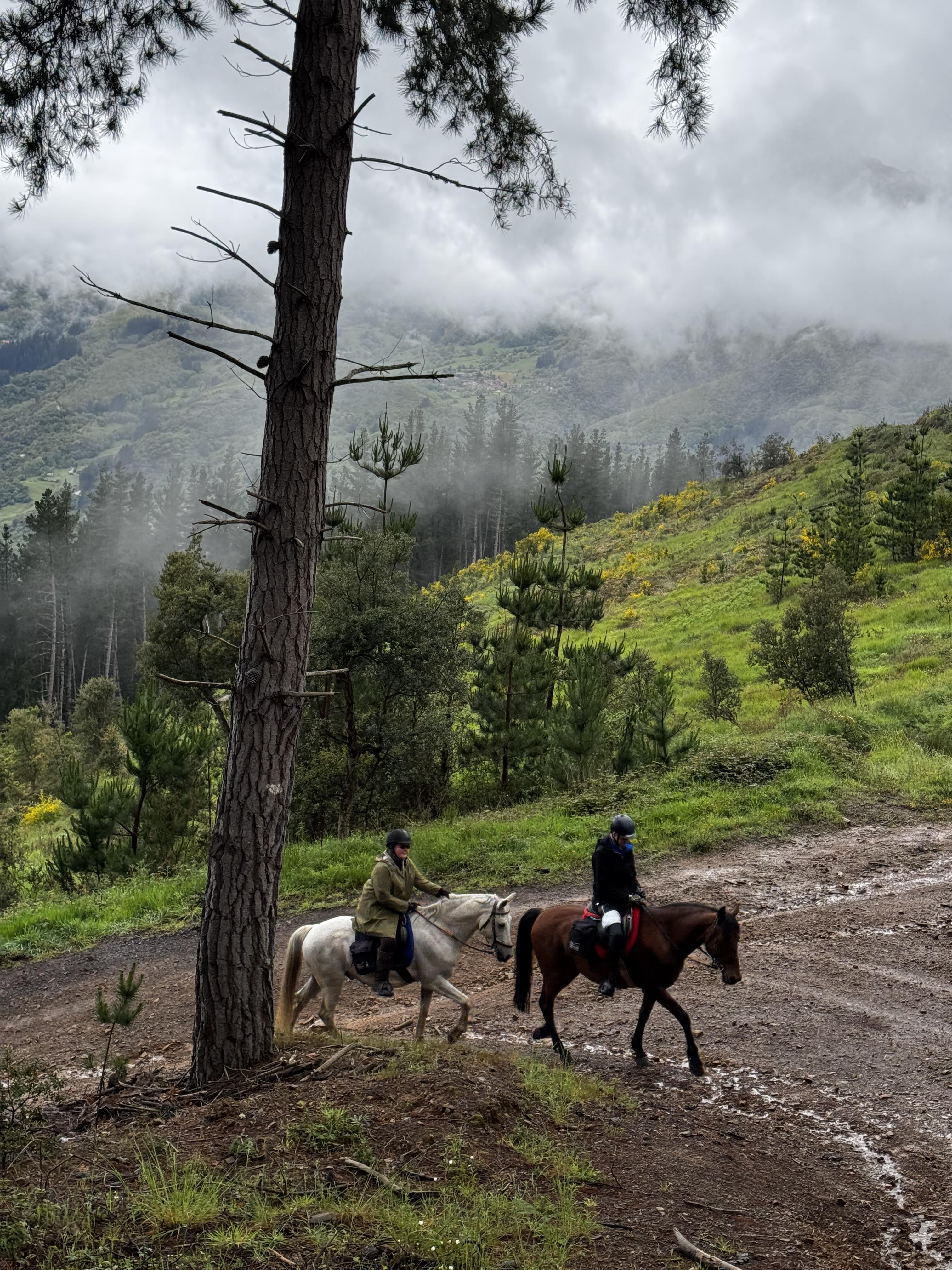 Image Espagne : A cheval sur le Camino Jubilar