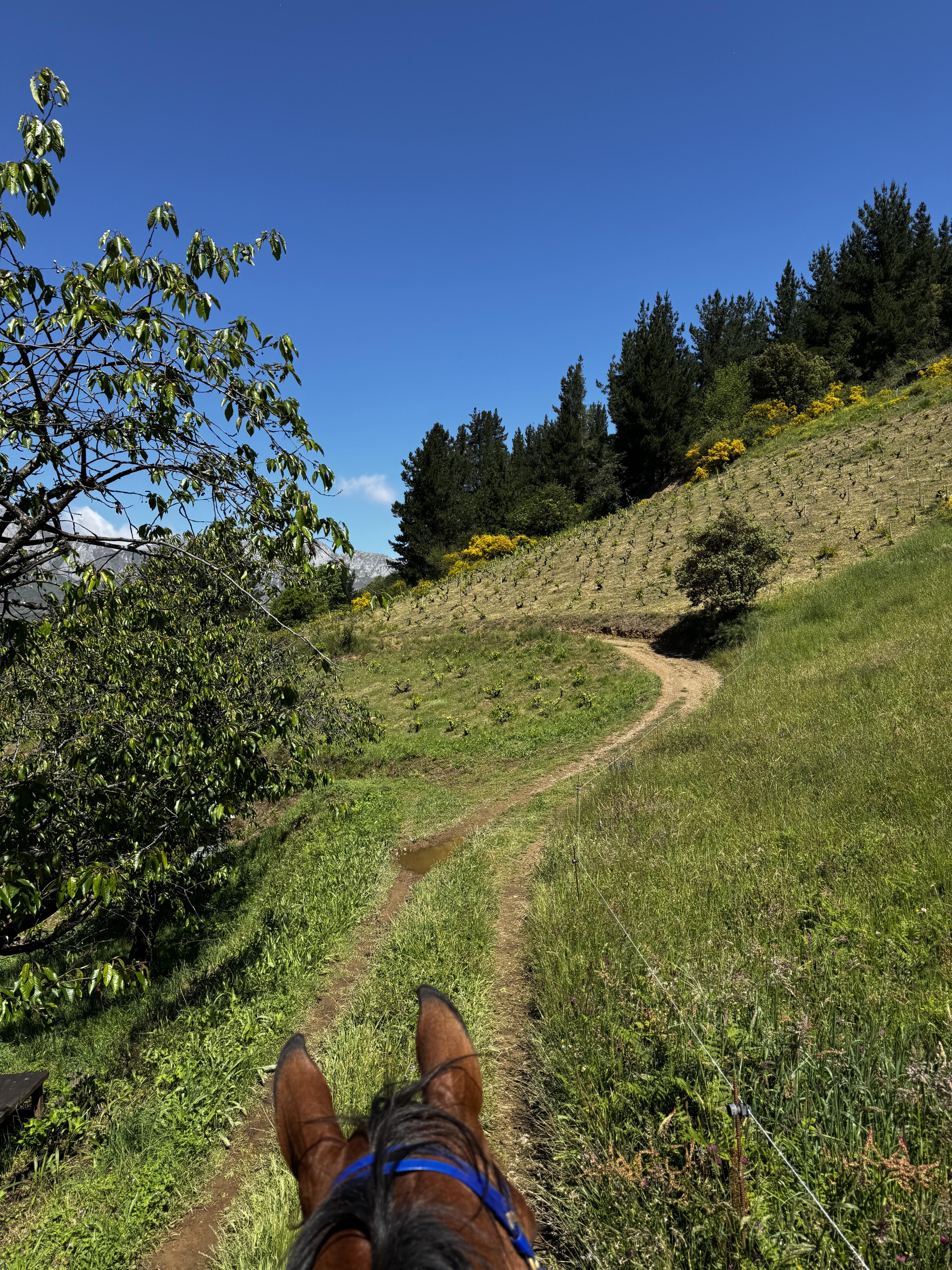 Image Espagne : A cheval sur le Camino Jubilar