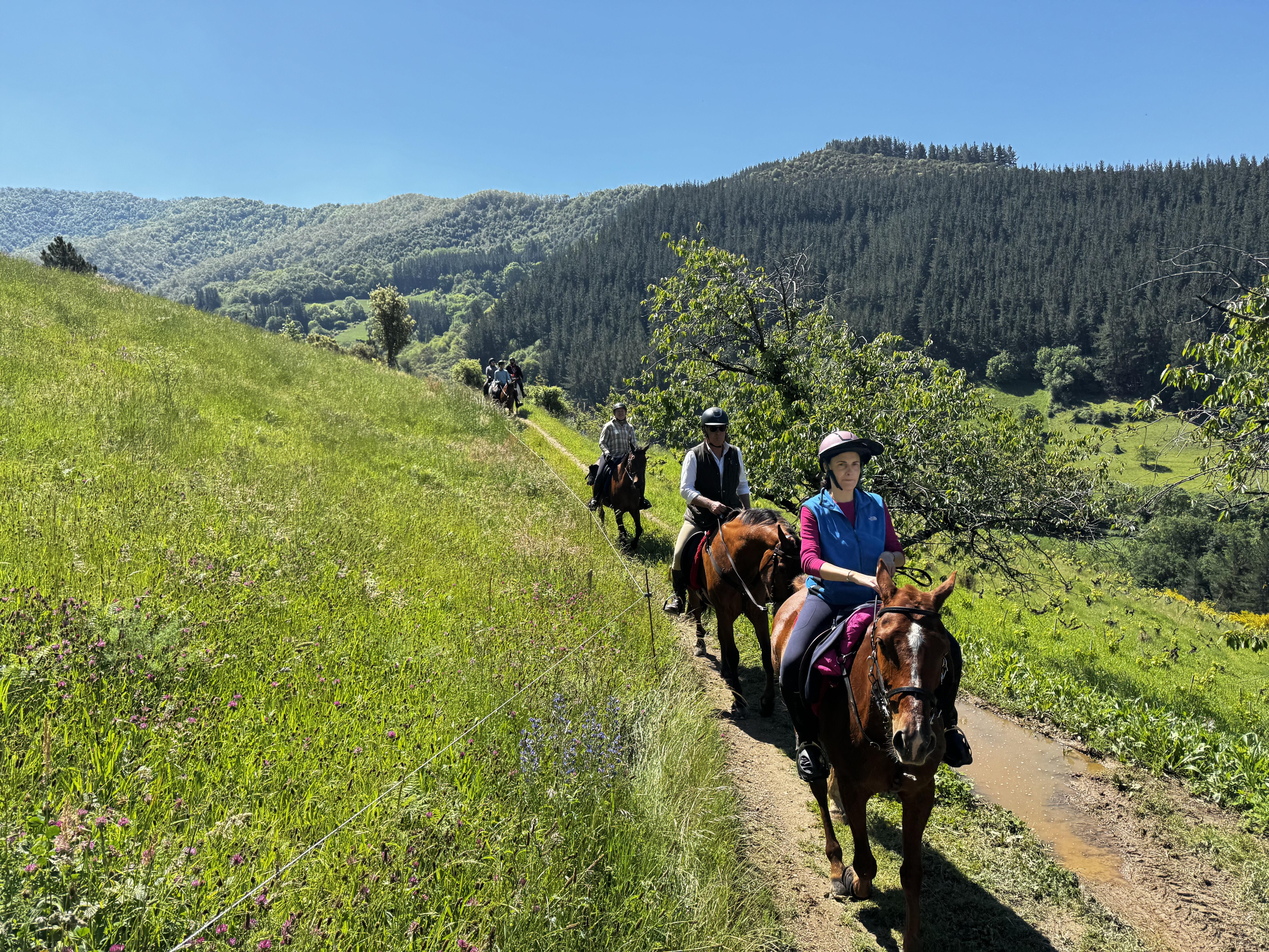Image Espagne : A cheval sur le Camino Jubilar
