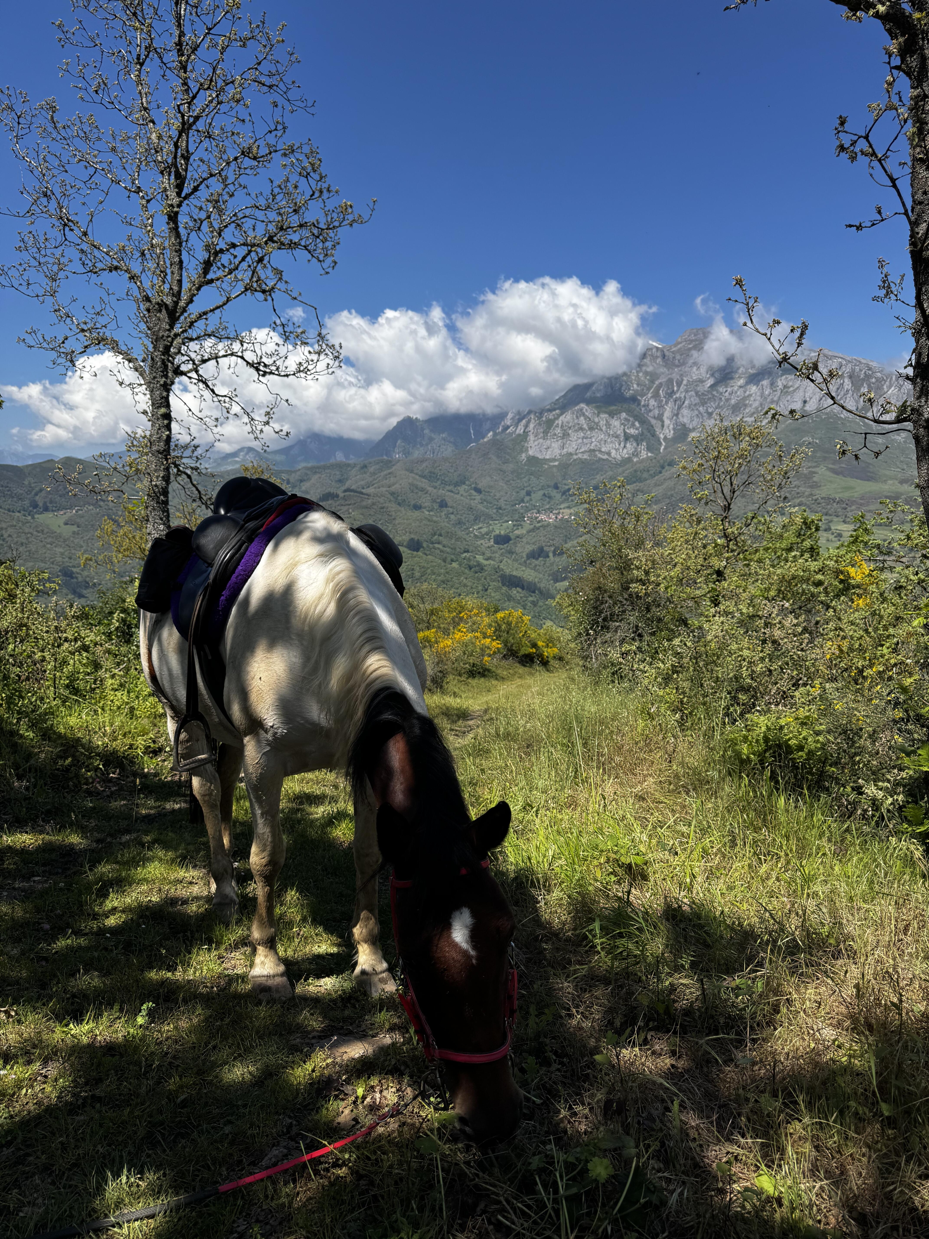 Image Espagne : A cheval sur le Camino Jubilar