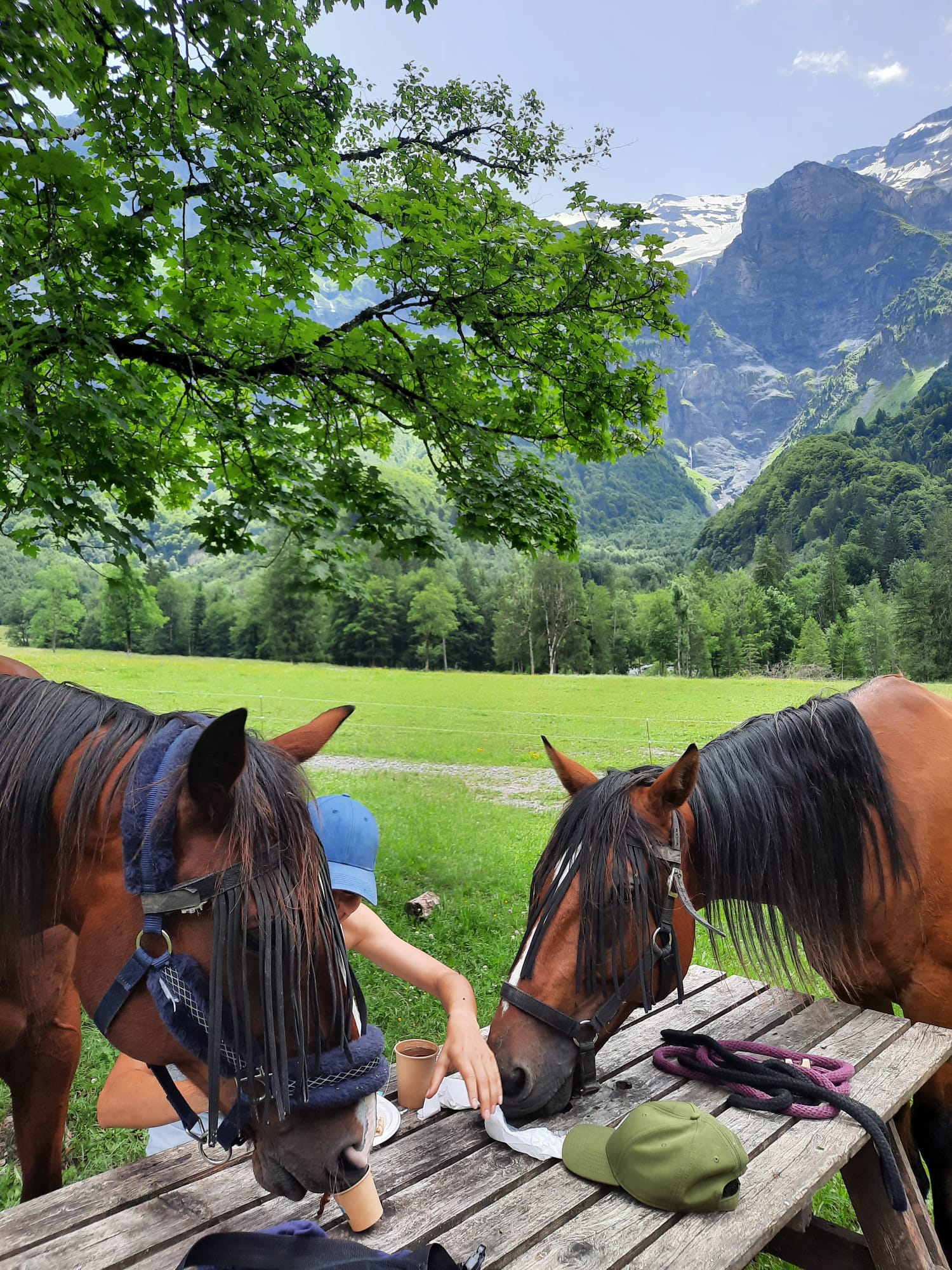 Image Echappée Savoyarde à cheval
