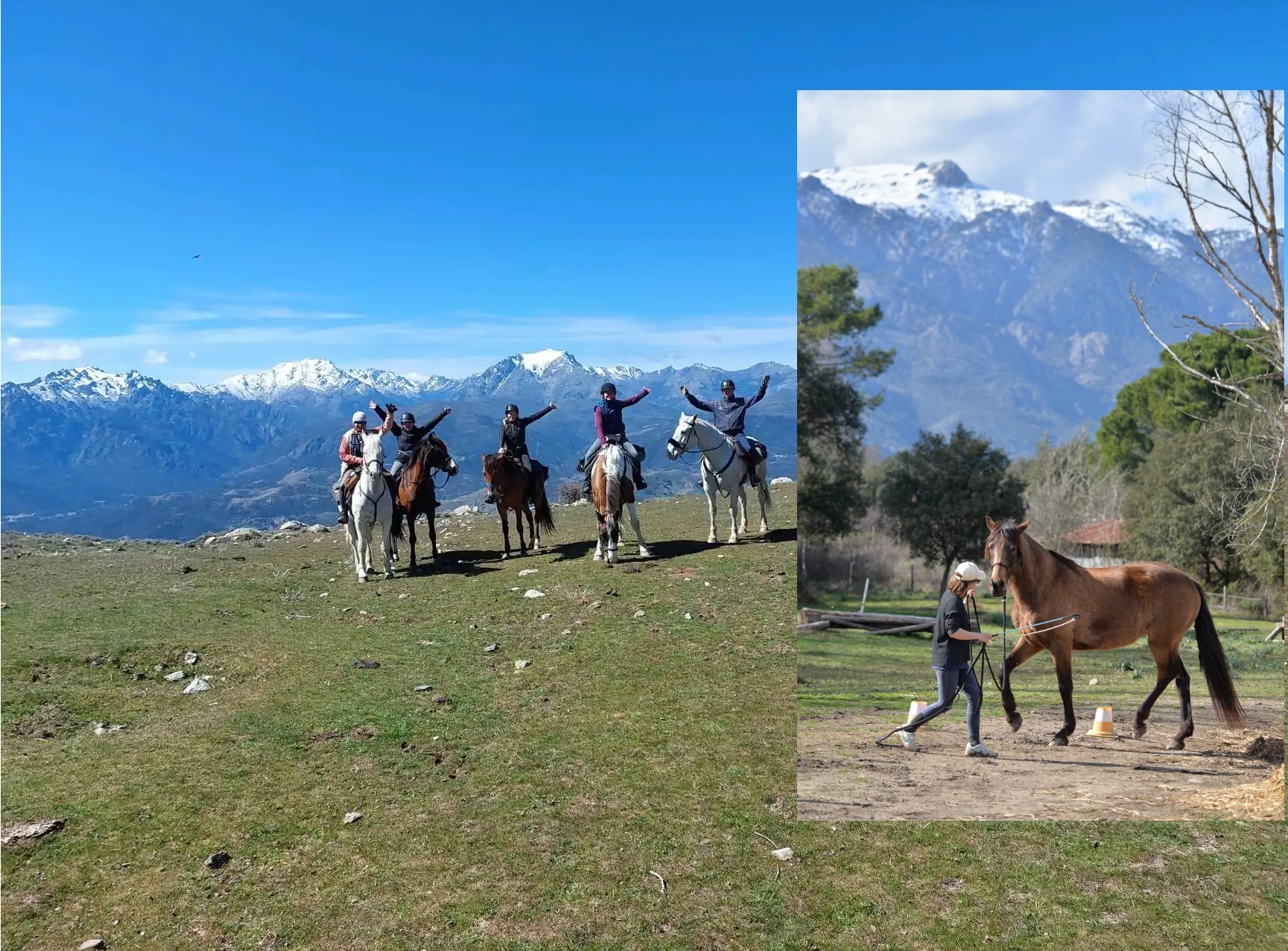 Image Rando à cheval en Corse et Ethologie
