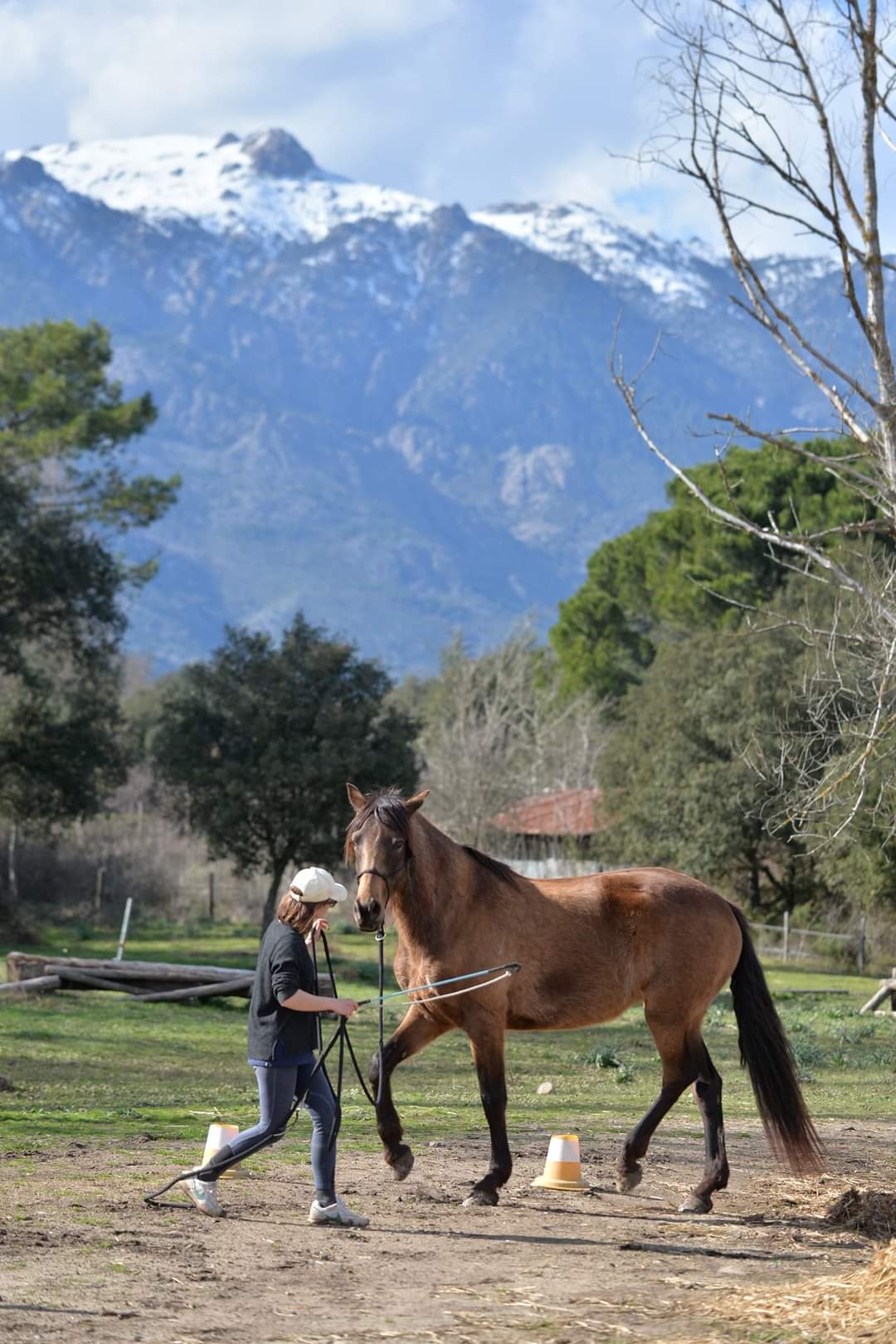 Image Rando à cheval en Corse et Ethologie