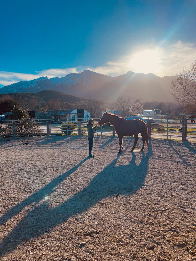 Image Rando à cheval en Corse et Ethologie