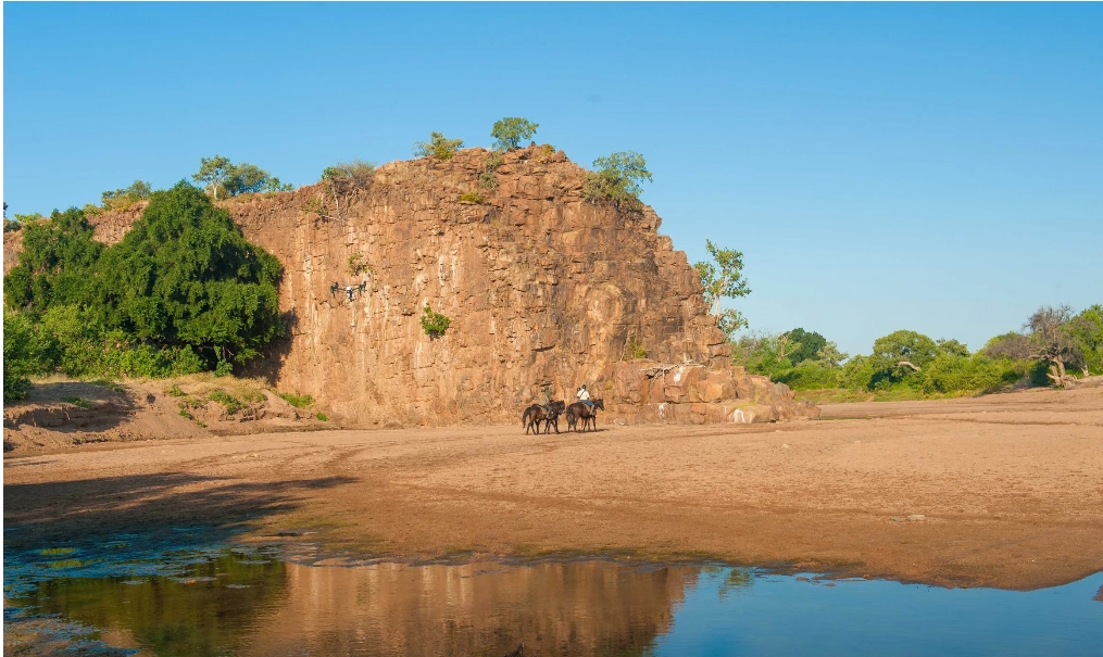Image Botswana : Safari à cheval du Tuli
