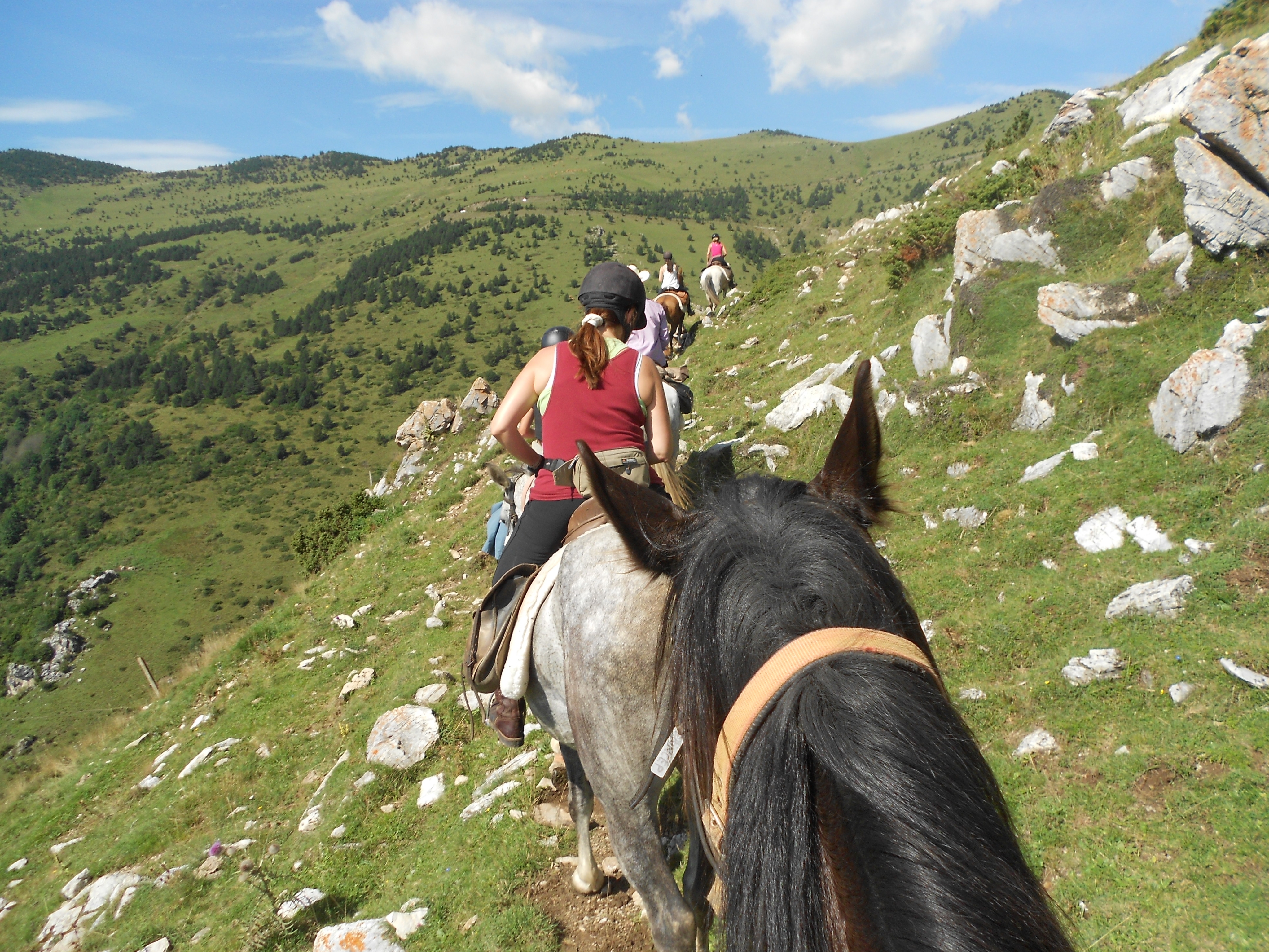 Image Espagne : Transhumance du bétail en Catalogne