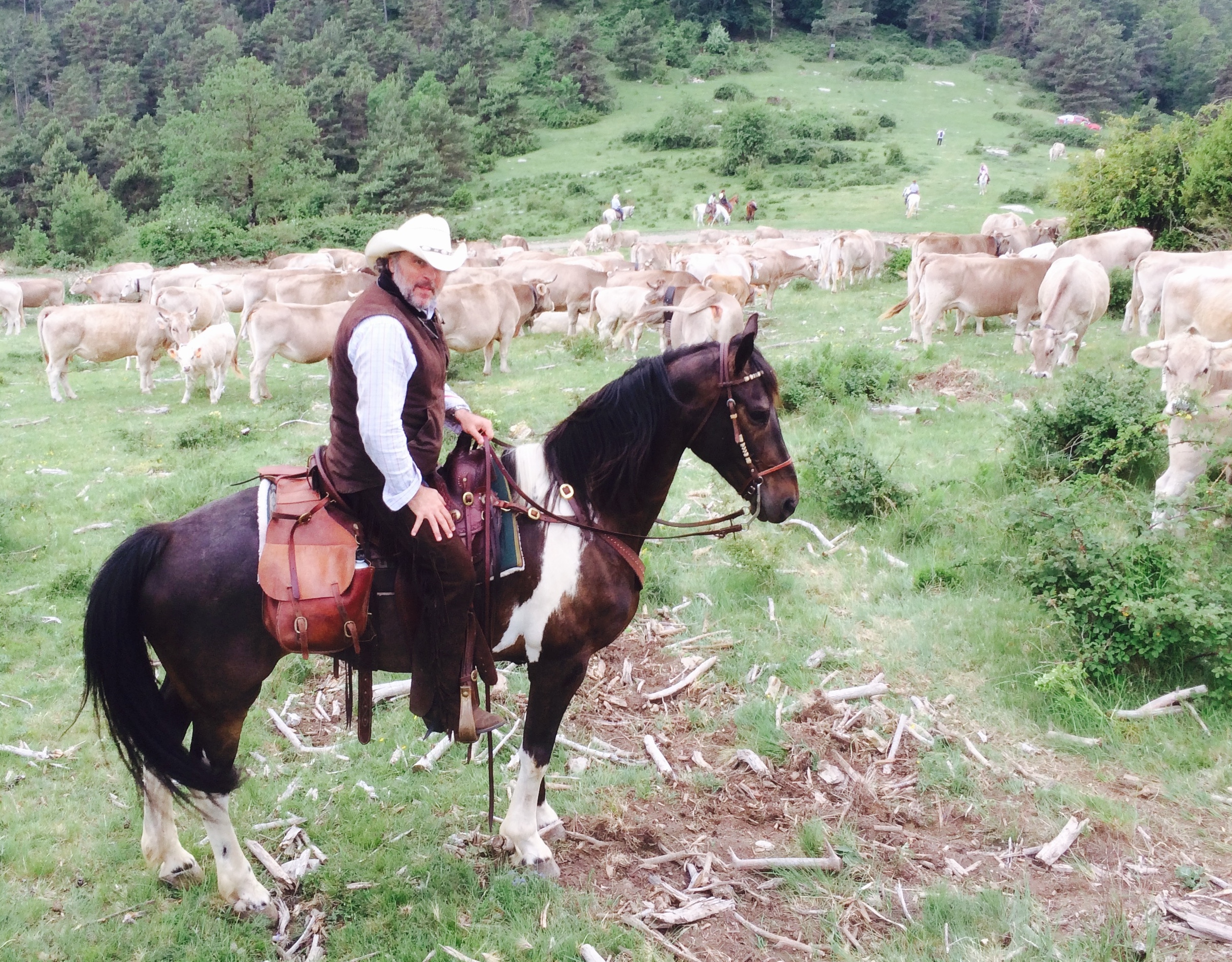 Image Espagne : Transhumance du bétail en Catalogne