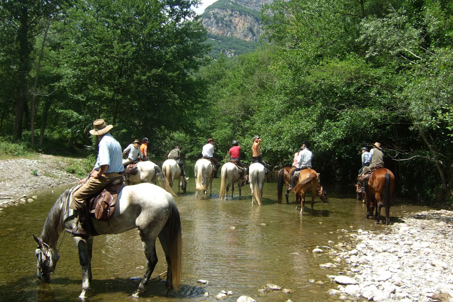 Image Espagne : Transhumance du bétail en Catalogne