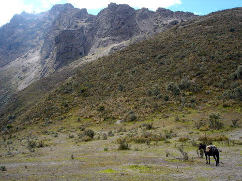 Image Equateur : Au pied du volcan Cotopaxi