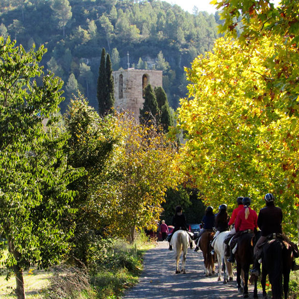 Image Espagne : Transhumance du bétail en Catalogne