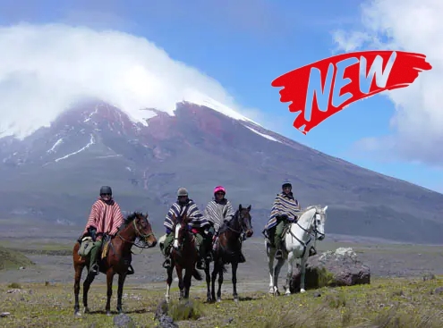 Image Equateur : Au pied du volcan Cotopaxi