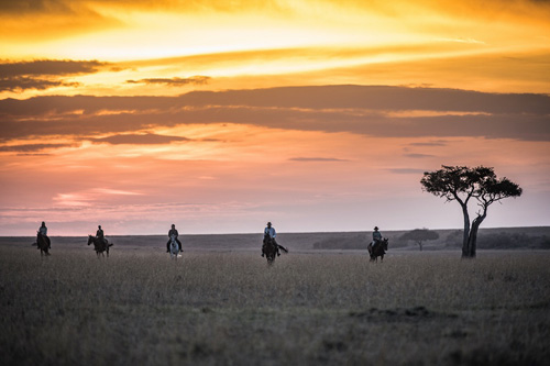 Image Kenya : Safari à cheval du Masai Mara