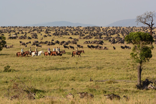 Image Kenya : Safari à cheval du Masai Mara
